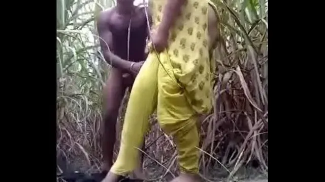 Village girl fucked in Desi Bf Video sugarcane